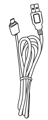 Dartwood Hair Removal Epilator Instruction Manual Dartwood Hair Removal Epilator-4