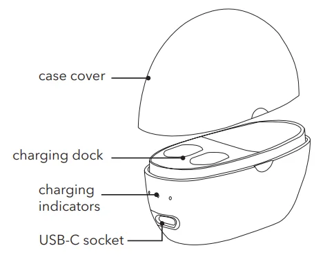 Dartwood Hearing Aid Instruction Manual Dartwood Hearing Aid-3