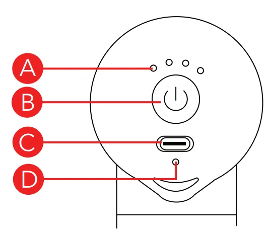 Dartwood Mini Deep Tissue Massager User Manual 3