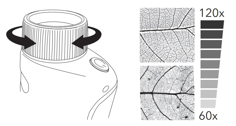 Dartwood Pocket Microscope 9