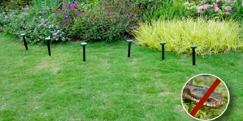 Dartwood Solar Mole Repellent-FEATURED IMAGE