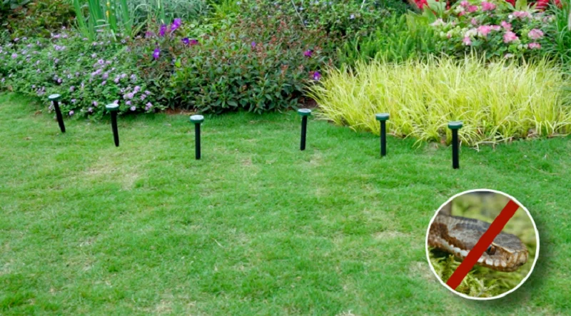 Dartwood Solar Mole Repellent User Guide