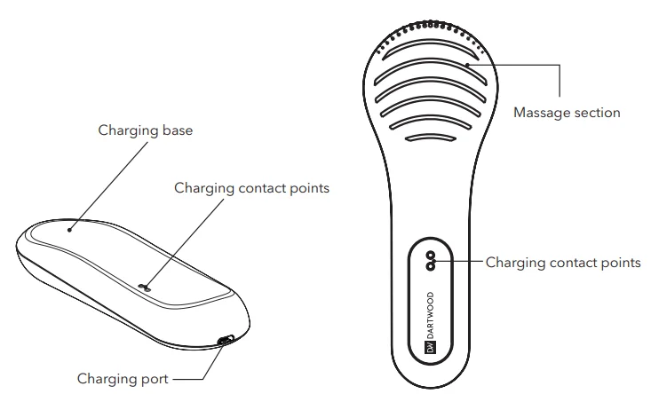 Dartwood Sonic Facial Cleansing Brush-1