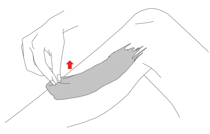 Dartwood Wax Warmer-11