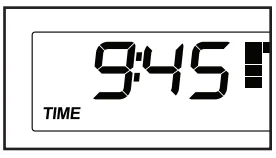 Golds Gym 290C Gym Cycle Trainer User Guide Golds Gym 290C Gym Cycle Trainer-22