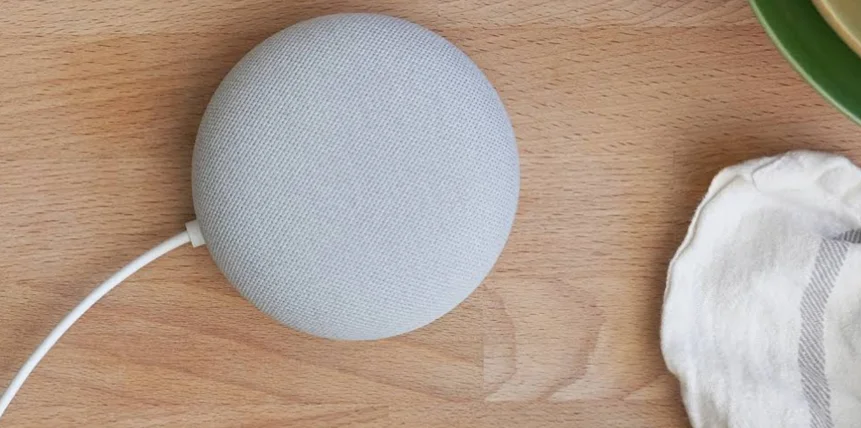 Google Nest Mini Smart Speaker User Manual