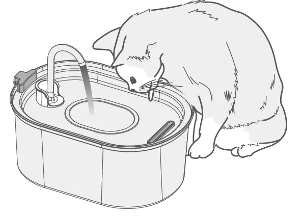 Petwant PWS-117 Pet Water Fountain 5