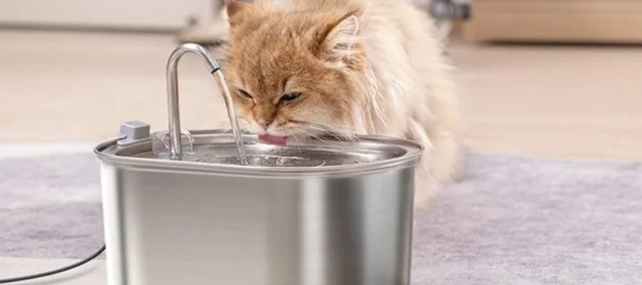 Petwant PWS-117 Pet Water Fountain featured image