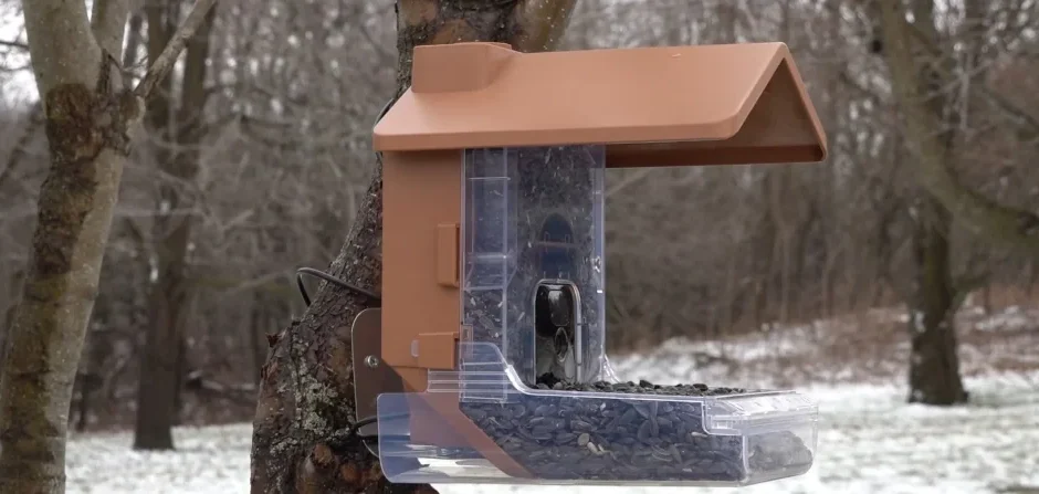 Wasserstein Bird Feeder Smart Camera Case-feature
