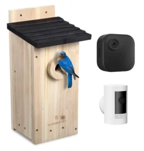Wasserstein Wooden Birdhouse for Smart Camera-product