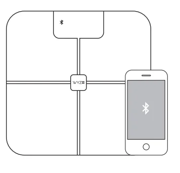 Wyze Labs Wyze Smart Scale User Manual Wyze Labs Wyze Smart Scale-5