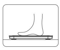 Wyze Smart Scale Ultra User Guide Wyze Smart Scale Ultra-2