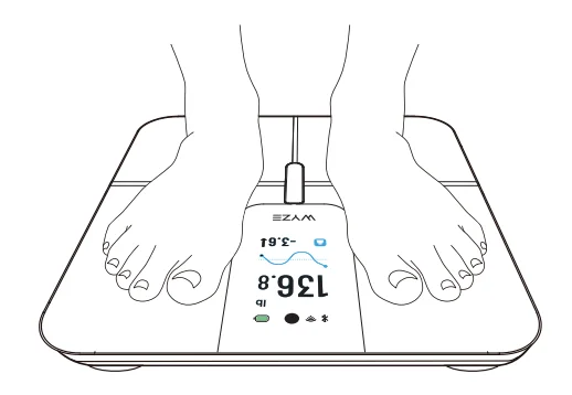 Wyze Smart Scale Ultra User Guide Wyze Smart Scale Ultra-8