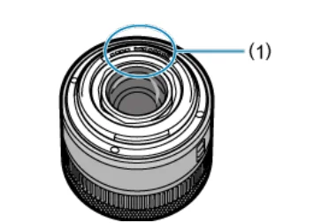 canon eos r8 mirrorless camera user manual 29