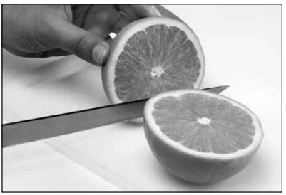 Breville 800CPXL Citrus Press Pro Juicer Machine 9