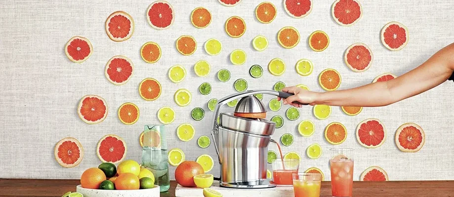 Breville 800CPXL Citrus Press Pro Juicer Machine feat