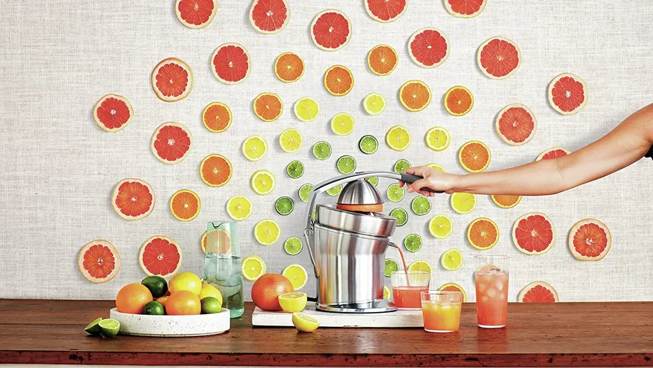 Breville 800CPXL Citrus Press Pro Juicer Machine feat