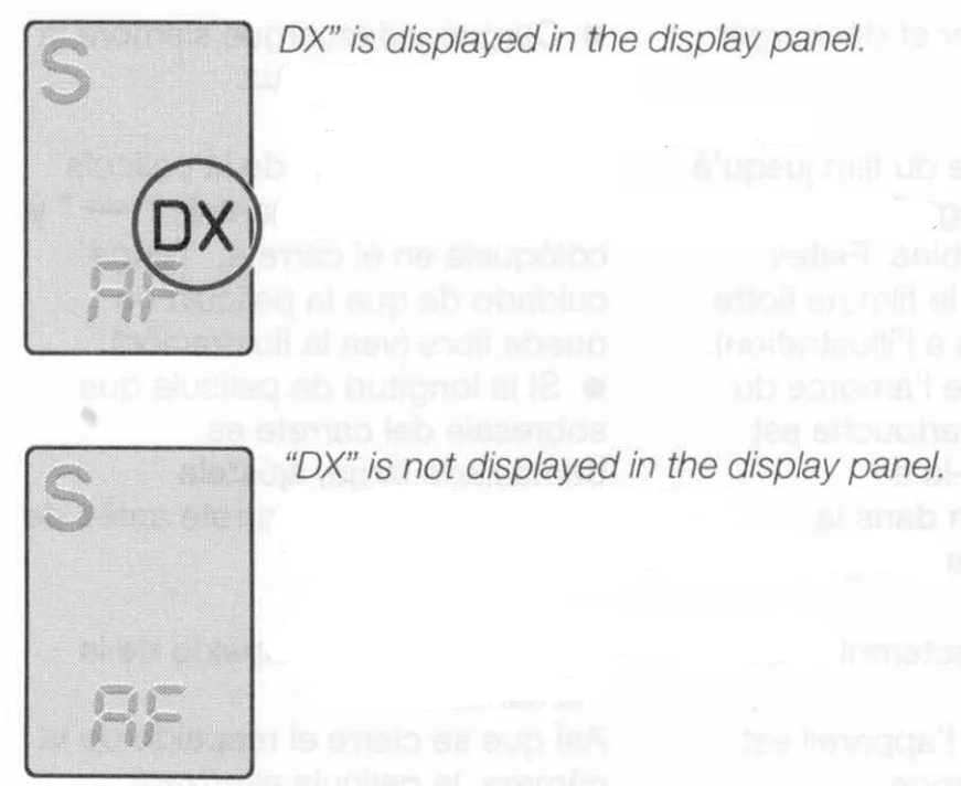 Contax G1 35mm Film Camera-30
