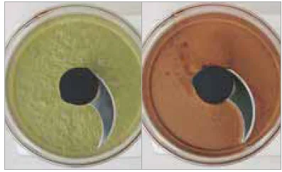 Magimix 4200XL Food Processor User Manual 24