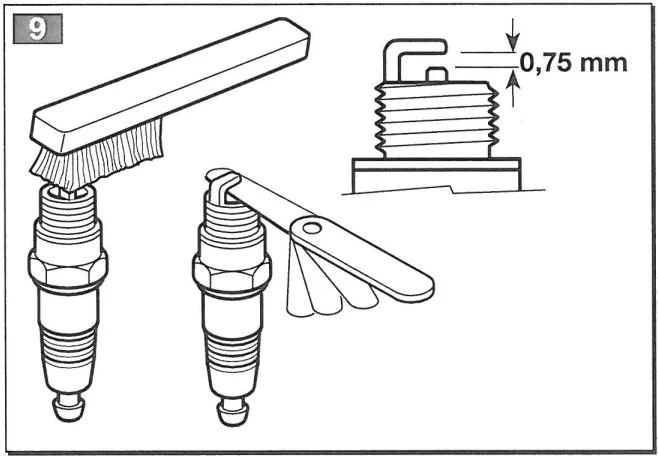 Mountfield MHJ2424 Hedge Trimmer-9