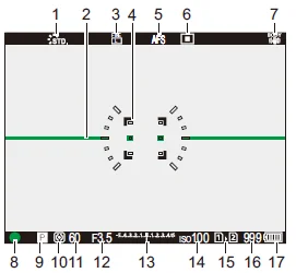 Panasonic Lumix S5 Full Frame Mirrorless Camera-11