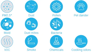 Blueair Blue PURE 231 Air Purifier-3