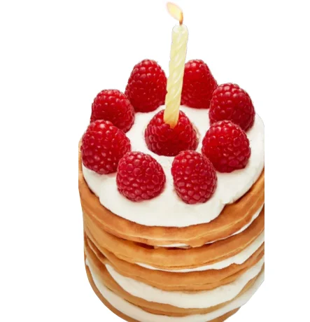 Dash DIW036GBRD04 Holiday Multimaker Mini System User Manual Dash DIW036GBRD04 Holiday Multimaker Mini System 15