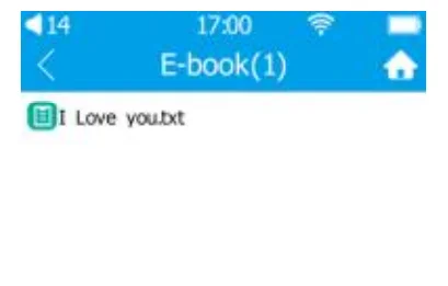 HIFI WALKER H2Touch Pro Hi-Res Player 13