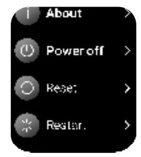 Noise Pulse 2 Pro Smart Watch 12