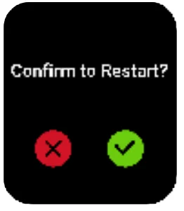 Noise Pulse 2 Pro Smart Watch 14