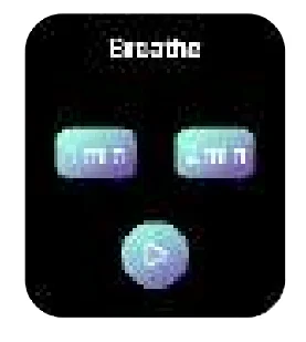 Noise Pulse 2 Pro Smart Watch 21