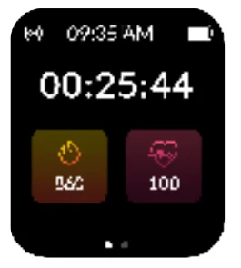 Noise Pulse 2 Pro Smart Watch 22