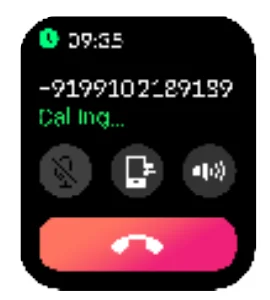 Noise Pulse 2 Pro Smart Watch 24