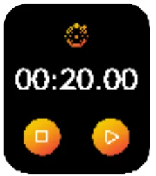 Noise Pulse 2 Pro Smart Watch 28