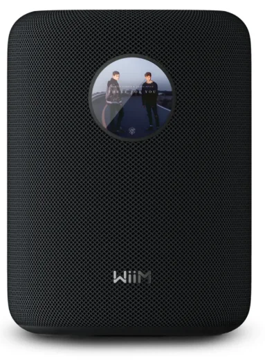 WiiM Sound Smart Speaker-product