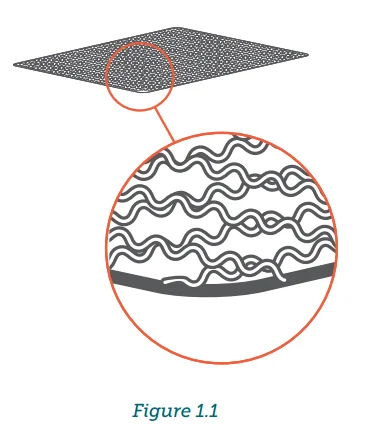 COSORI CFD-P101-SUS Premium Pro 10-Tray Food Dehydrator 4