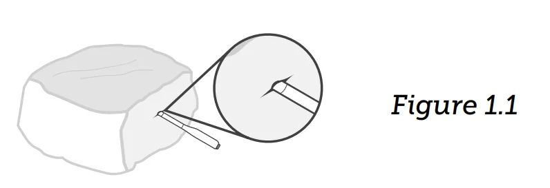 COSORI Smart Meat Thermometer 2