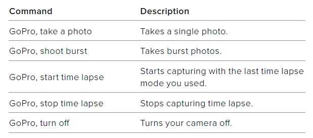 GoPro MAX2 Camera 11