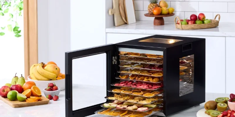 Morphy Richards MRFD10SS 10-Shelf Food Dehydrator feat