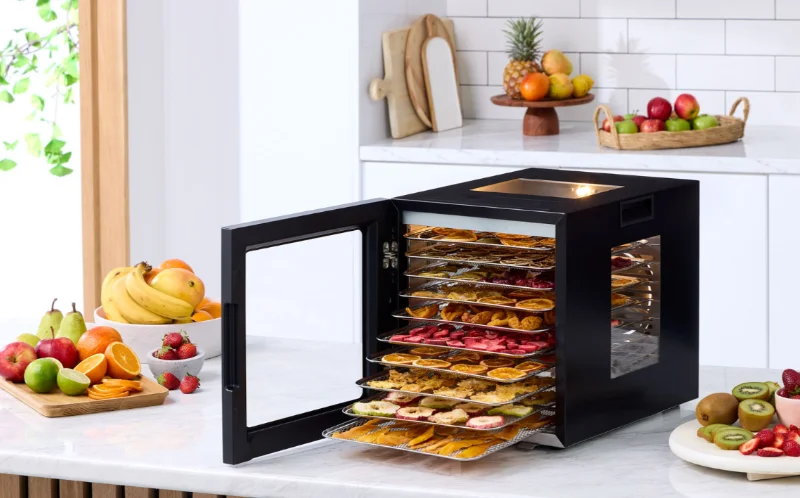 Morphy Richards MRFD10SS 10-Shelf Food Dehydrator feat