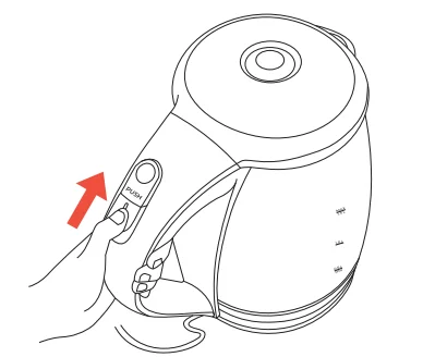 MuellerLiving MLR010567N Glass Kettle 6