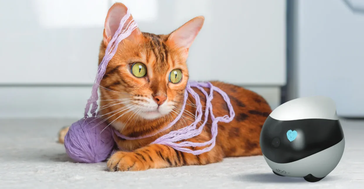 ROLA Mini Companion Robot User Manual