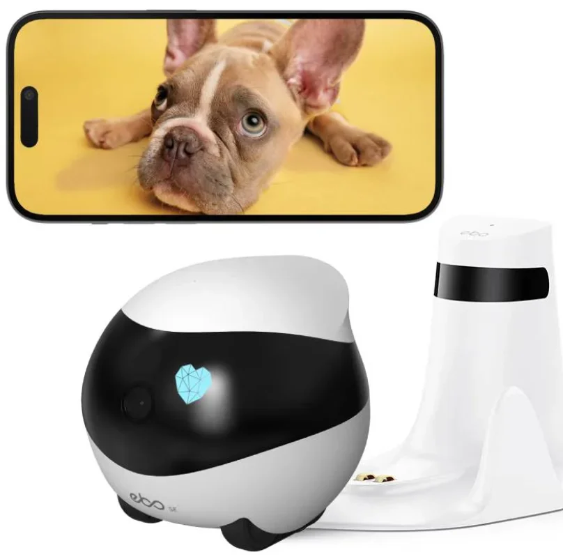 ROLA Mini Companion Robot User Manual ROLA Mini Companion Robot product image