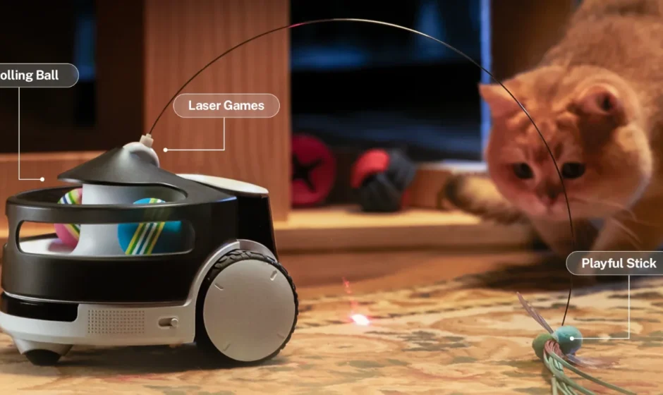 ROLA PetPal Interactive Toys featured image