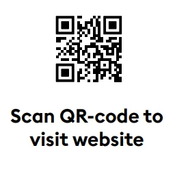 Steamery Stratus Professional Steamer 2