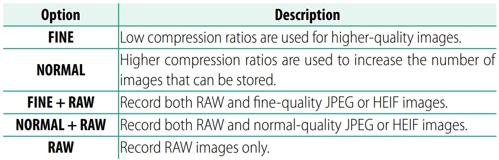 Fujifilm X100VI Camera 48