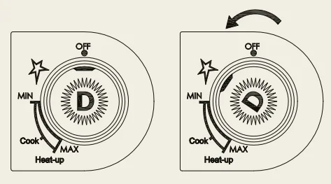Delivita Flow Duel Fuel Pizza Oven 4