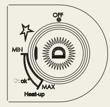 Delivita Flow Duel Fuel Pizza Oven 5