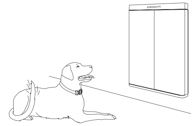 Pawport Smart Pet Door 1