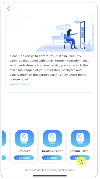 Reolink PoE Camera 45